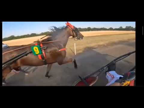 Srbobran 06.07.2025.  Azim Bird 1.mesto