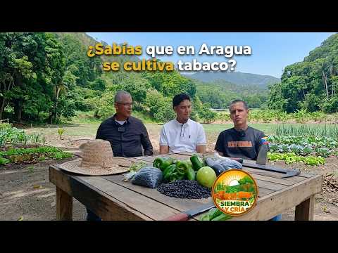 SIEMBRA Y CRÍA - REVENGA MUNICIPIO PRODUCTIVO
