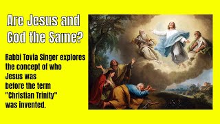 Video: How can Jesus be both God and human? - Tovia Singer