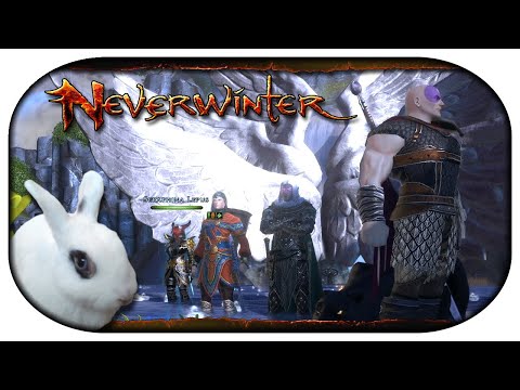 NEVERWINTER: Paladin-LP 🐇 97 - Grimoires und Gedanken