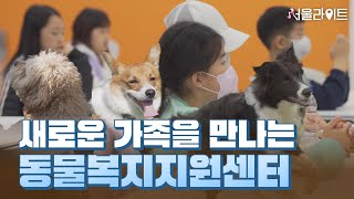 [TBS 서울라이트] 반려동물 입양 가족을 위한 모든 것!