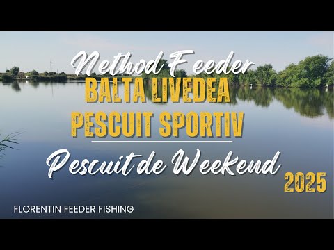 Mic, dar pofticios... 🐟Pescuit de weekend pe Balta Livedea🎣 #methodfeeder #carpfishing