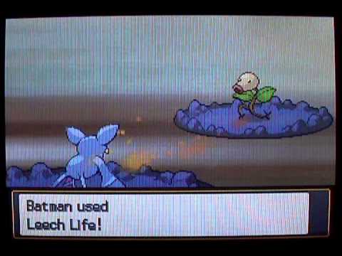 Pokemon Heart Gold / Soul Silver Walkthrough Part 5