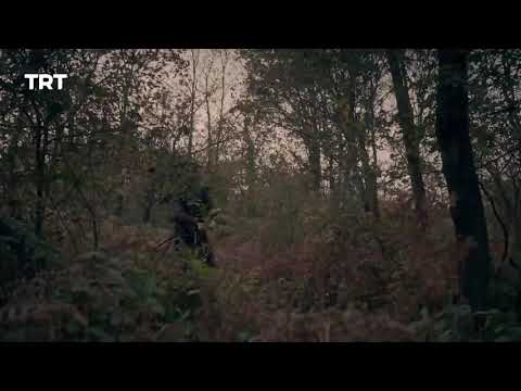 TRt aTolar this Bamse