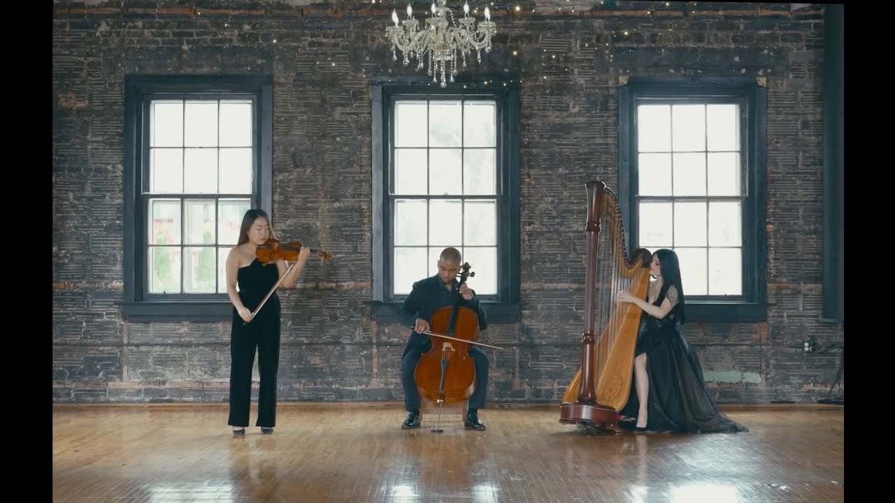 Promotional video thumbnail 5 for The Enchanted Harpist