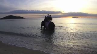 preview picture of video 'Elephant on beach, Koh Samui Thailand by Faraway Weddings'