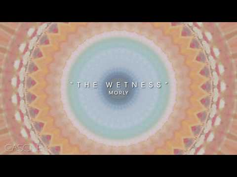Video thumbnail for The Wetness