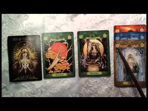 Gulveig card anatomy