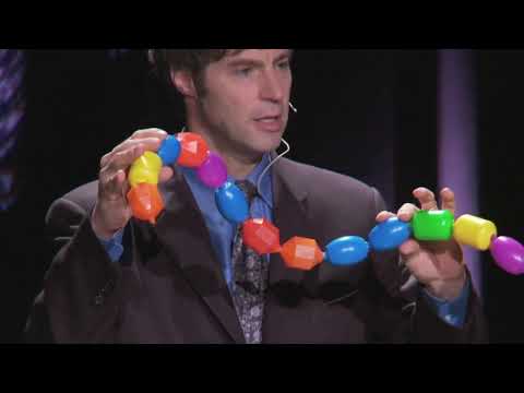 Is There Design in DNA? Stephen Meyer Challenges Darwin’s Legacy: The Presentation