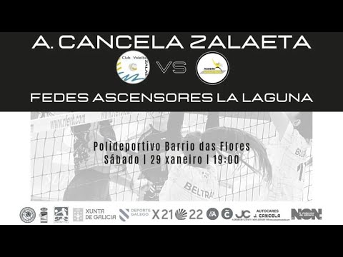 AUTOSCANCELA ZALAETA  Vs  FEDES ASCENSORES LA LAGUNA
