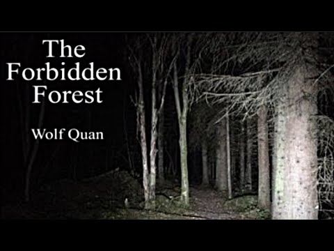 Wolf Quan - Canker Sores