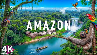 FLYING OVER AMAZON(4K UHD) - Relaxing Music Along With Beautiful Nature Videos | 4K Video Ultra HD