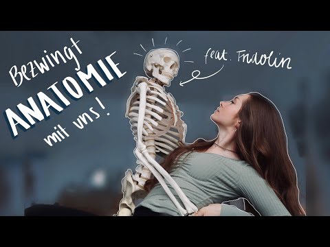 So lerne ich für ANATOMIE (Bewegungsapparat) - Bücher, Tipps & Apps