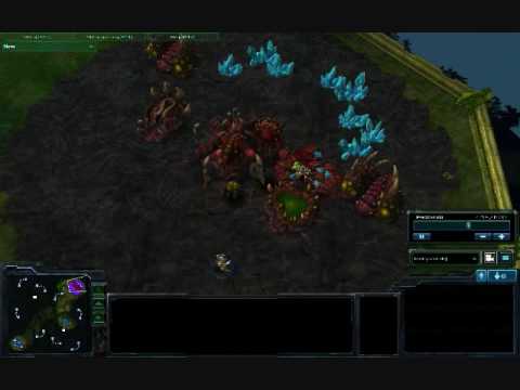 sc2 Toss rush