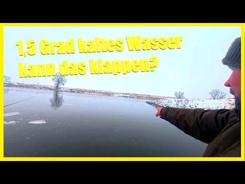 Winter fishing on the river with a water temperature of 1.5 degrees Celsius: Is there any life le...