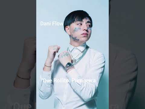 Dani Flow - Que Rollito primavera ( Audio  )