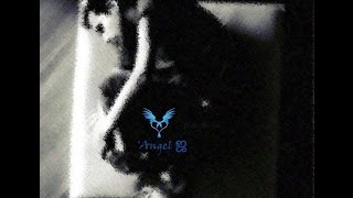 Si me vuelvo a enamorar   Gian Marco letra