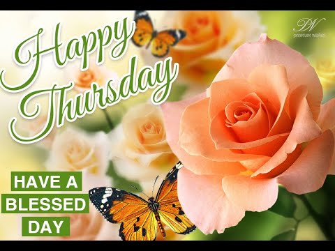 Happy Thursday Greetings 🌸 Beautiful Thursday Blessings & Wishes Video
