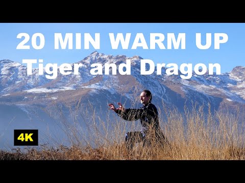 20 MIN TAI CHI WARM UP, STRETCHING and JOINTS MOBILITY EXERCISES WithTiger and Dragon