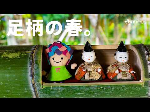 あしがらの春を訪ねて | あしがり郷　瀬戸屋敷ひなまつり と まつだ桜まつり #travel 