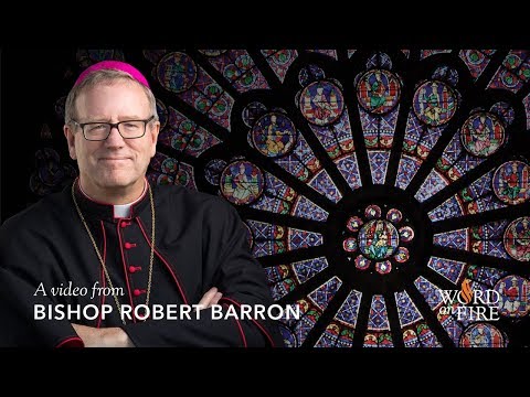 Bishop Barron on Notre Dame Rose Window