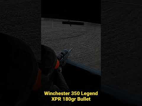 Clips in Nice and Easy