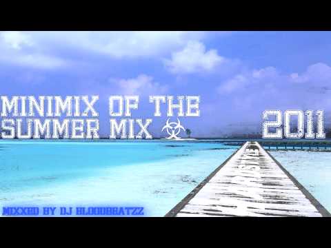Dj Bloodbeatzz - Summer Of Hardstyle Minimix [HQ+HD]