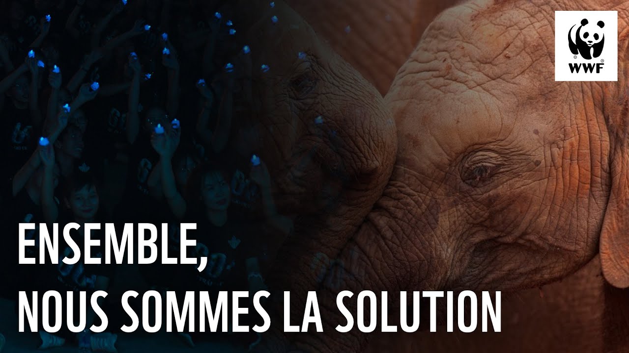 Ensemble, nous sommes la solution