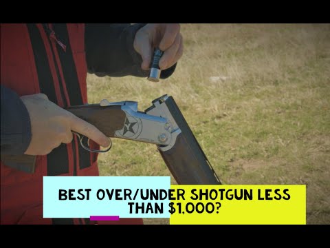 Intro to Pointer Acrius