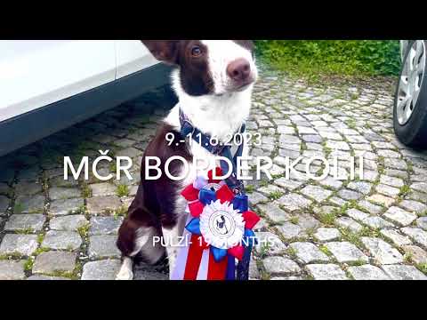 MČR BOC v agility 2023 | Adéla Oberleitnerová + Pulz