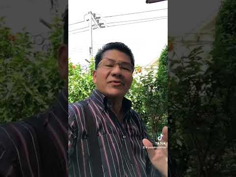 6:4:2022 นายกรัฐมนตรี คสช เหนือรัฐธรรมนูญ2560?