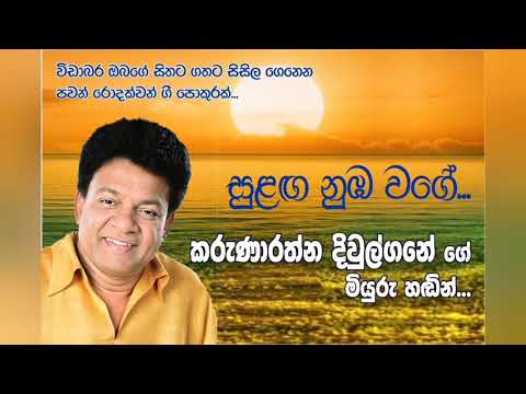 Sulanga numba wage...Karunarathna Diwulgane සුළඟ නුඹ වගේ...කරුණාරත්න දිවුල්ගනේ.