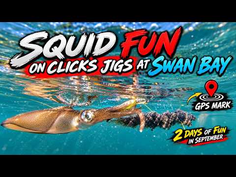  Squid fun at Swan Bay September 2026