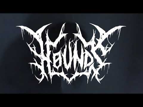 𝐇Ø𝐔𝐍𝐃𝐒 x Dragon Boy$ - Covas [prod. ghostxd] (Official Visualizer)