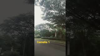 Download lagu Ebiet G .Ade - Camelia 1 mp3