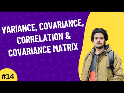 01 The Importance of Linear Algebra in AI Machine Learning Data Science Bangla