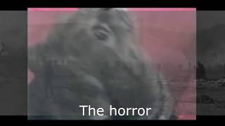 Vietnam Flashback Cat