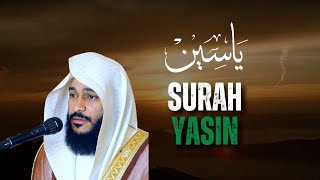 Download lagu Surah Yaseen | Abdulrahman Al Ossi | English Translation mp3 Download lagu Surah Yaseen | Abdulrahman Al Ossi | English Translation mp3