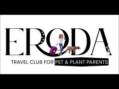 AMSTERDAM Kwaku Festival Retreat: https://erodatravelclub-amsterdam2026.my.canva.site/