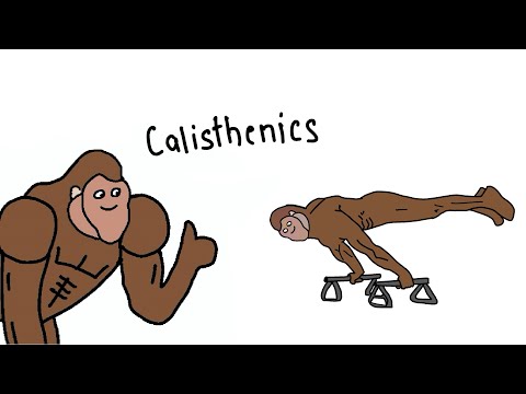How To Actually Build Muscle With Calisthenics Explained by Ape