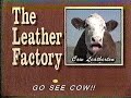 1990 Cow Leatherton Talking Cow For Leather Factory TV Commercial