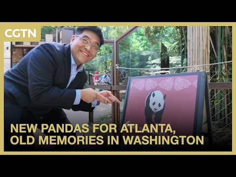 New pandas for Atlanta, old memories in Washington