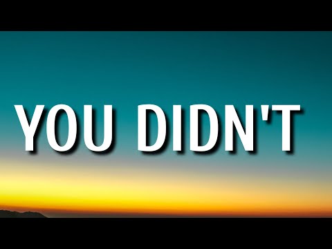 Brett Young - You Didn't (Lyrics)