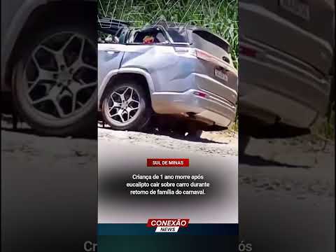 Criança de 1 ano morre após eucalipto cair sobre carro durante retorno de família do carnaval.