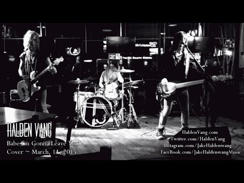 Led Zeppelin - Babe I'm Gonna Leave You ~ Halden Vang Live Cover