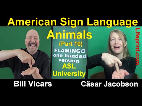 Lesson 12 Story B Cäsar Jacobson Dr Bill ASLU Lifeprint com American Sign Language ASL