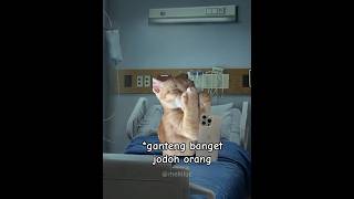 Download lagu MK: begadang di rumah sakit #cat #lucukucing #memekucing #meme mp3