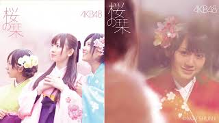 [REUPLOAD AND FIXED] AKB48 Sakura no Shiori (桜の栞) Instrumental