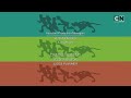 What S New Scooby Doo Cartoon Network PAL Credits
