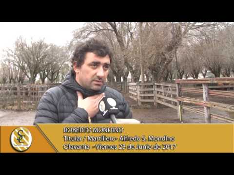 23-06-17 Nota Roberto Mondino - Alfredo S. Mondino - Olavarria
